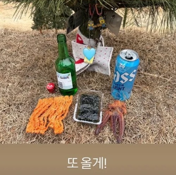 Kim Go-eun Visits Late Actor Na Chul’s Burial