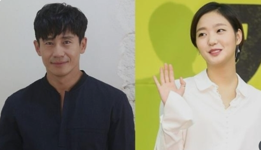 Kim Go Eun and Shin Ha Kyun (Aug 2016 – Feb 2017)